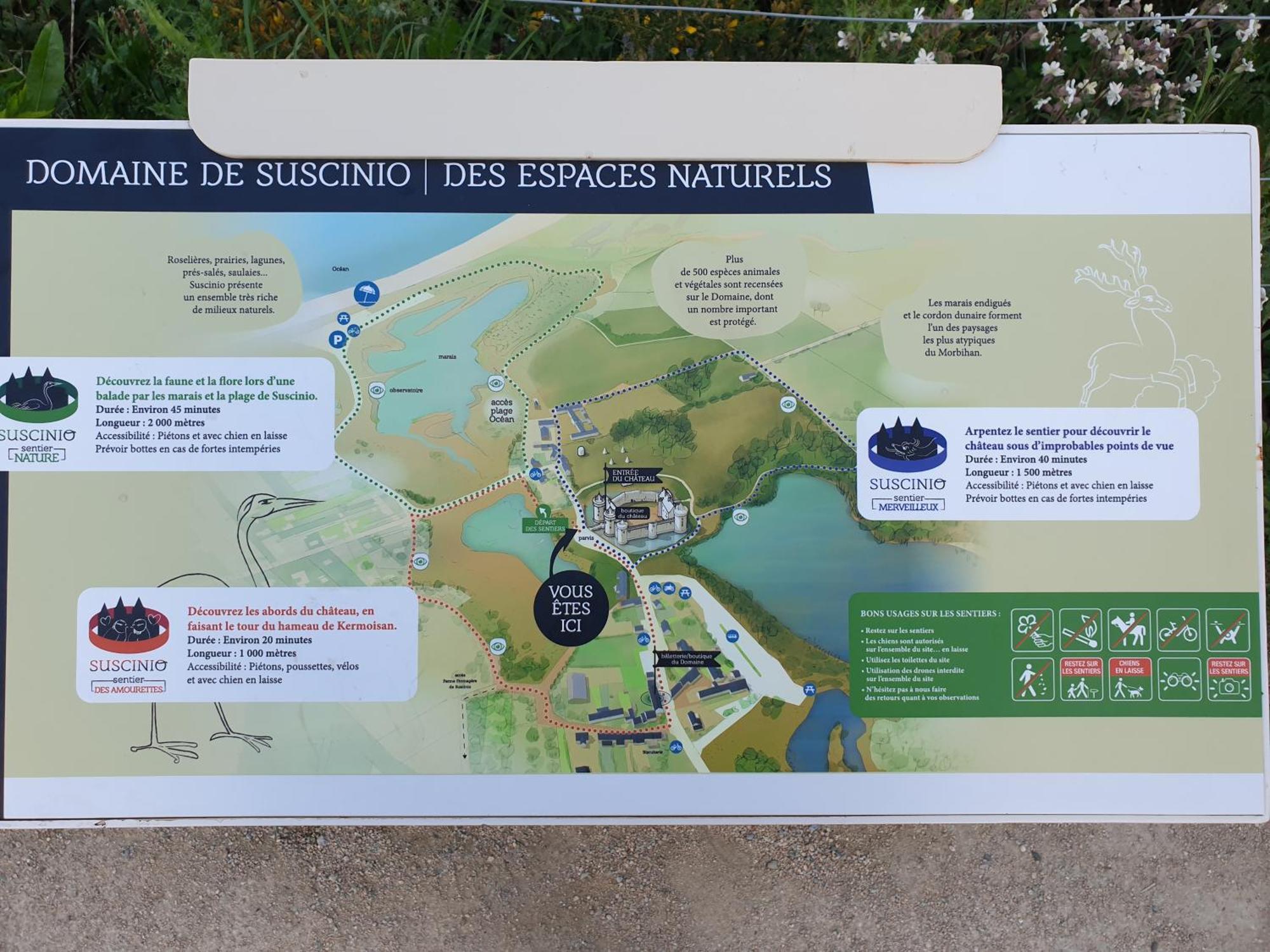 Maison De Vacances A Sarzeau A 5 Min De La Plage A Pieds Zewnętrze zdjęcie